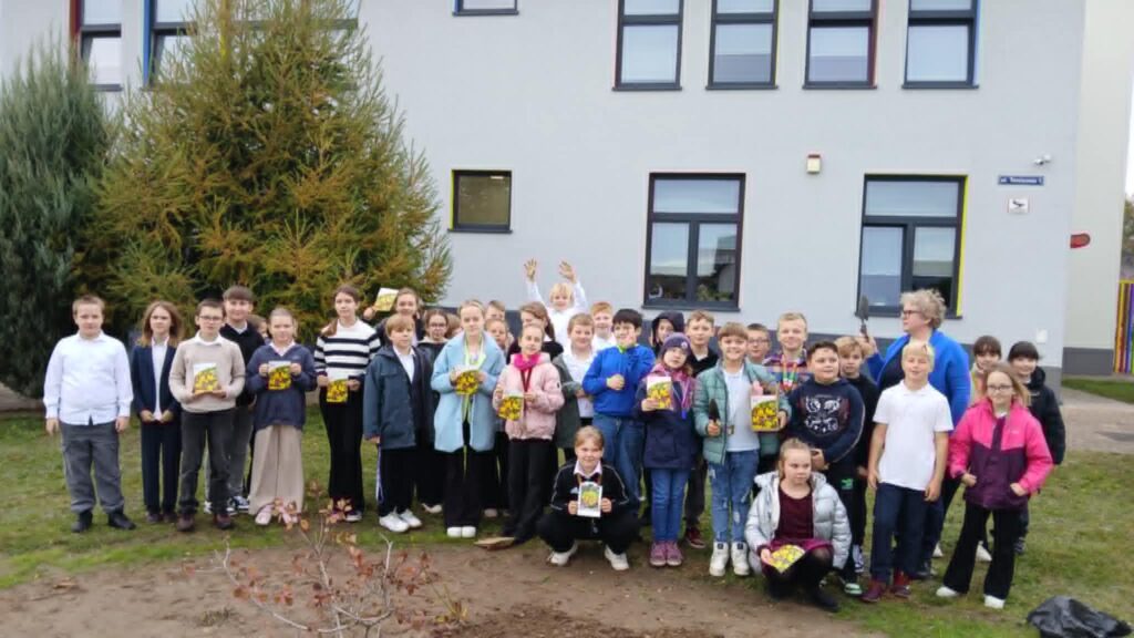 Projekt Krokusy.
