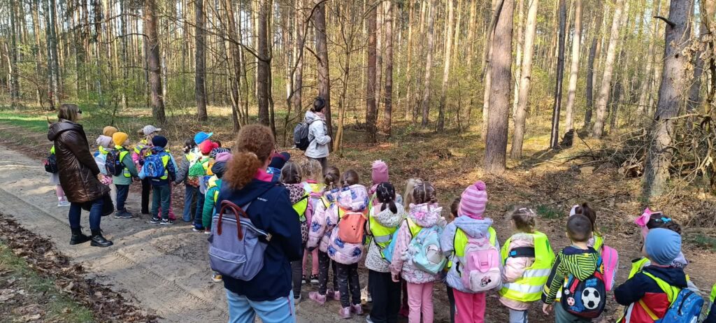 „Muchomorki” i „Jeżyki” w Przemkowskim Parku Krajobrazowym